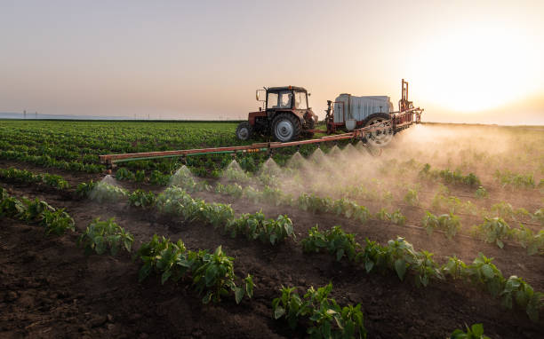 Insect Control in New Plymouth, ID